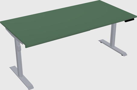 Dual motor electric desk