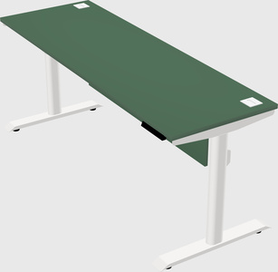 Dual motor electric desk