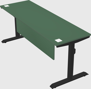Dual motor electric desk