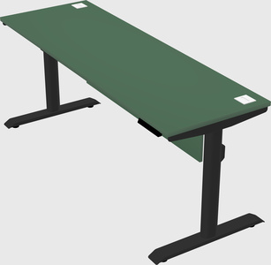 Dual motor electric desk