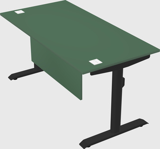 Dual motor electric desk