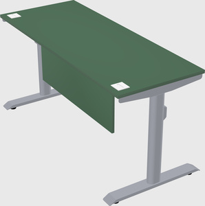 Dual motor electric desk