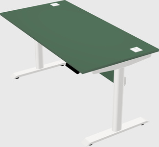 Dual motor electric desk