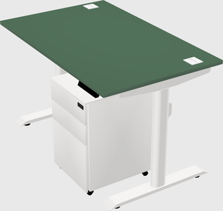 Dual motor electric desk