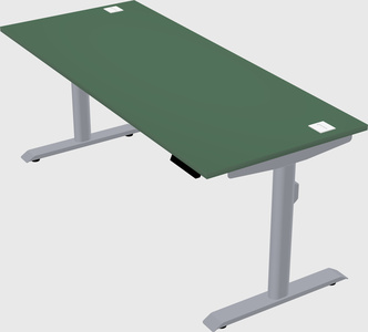 Dual motor electric desk