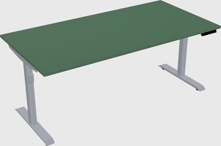 Dual motor electric desk