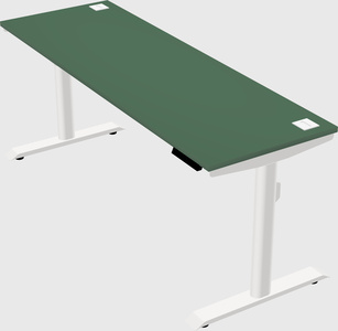 Dual motor electric desk