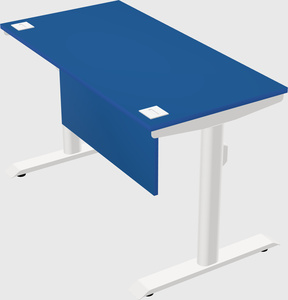 Dual motor electric desk