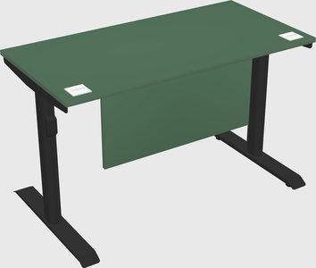 Dual motor electric desk