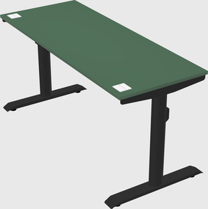 Dual motor electric desk