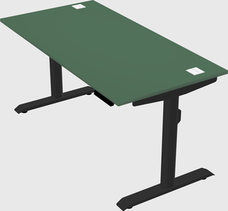 Dual motor electric desk