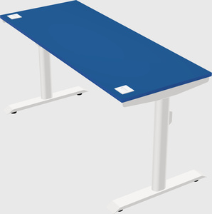 Dual motor electric desk