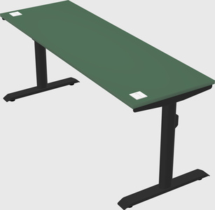 Dual motor electric desk