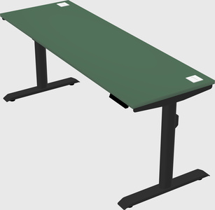 Dual motor electric desk