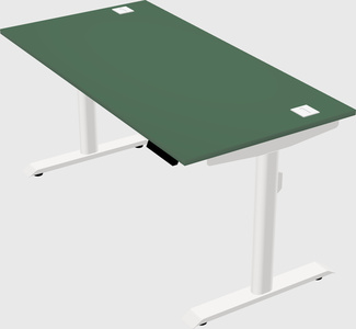 Dual motor electric desk