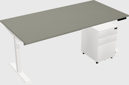 Dual Motor Electric Desk