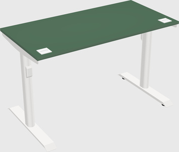 Dual motor electric desk