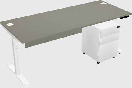 Dual Motor Electric Desk