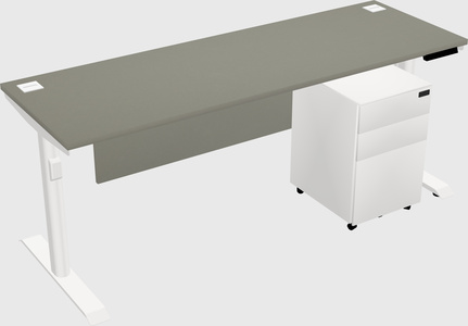 Dual Motor Electric Desk