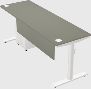 Dual motor electric desk