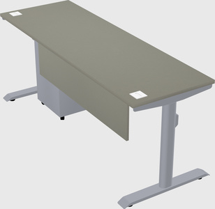 Dual motor electric desk