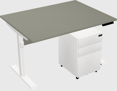 Dual Motor Electric Desk