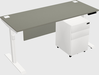 Dual Motor Electric Desk