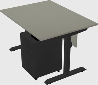 Dual motor electric desk
