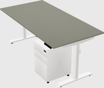 Dual motor electric desk