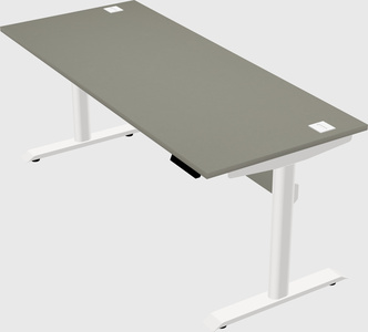 Dual motor electric desk