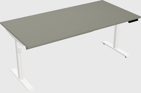 Dual motor electric desk