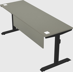Dual motor electric desk