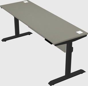 Dual motor electric desk