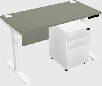 Dual Motor Electric Desk