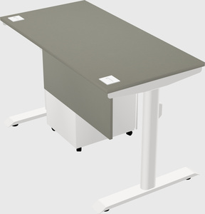 Dual motor electric desk