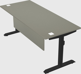 Dual motor electric desk