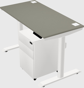 Dual motor electric desk