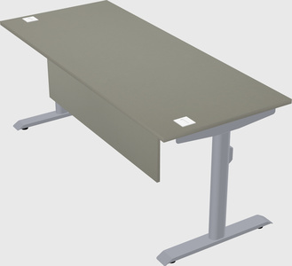 Dual motor electric desk