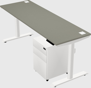 Dual motor electric desk