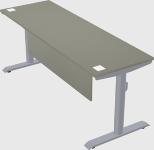 Dual motor electric desk