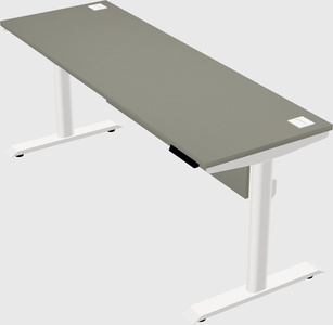 Dual motor electric desk