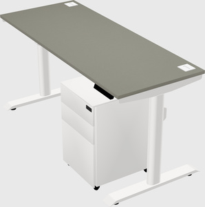 Dual motor electric desk