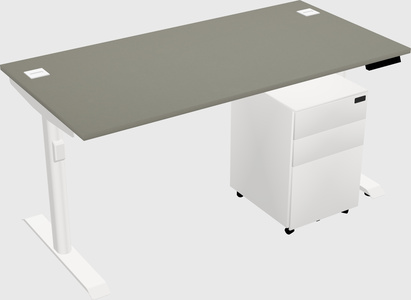Dual Motor Electric Desk