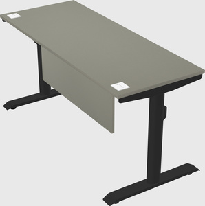 Dual motor electric desk