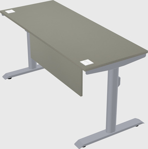 Dual motor electric desk