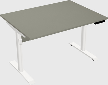 Dual Motor Electric Desk