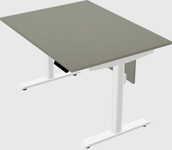 Dual motor electric desk