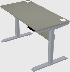 Dual motor electric desk
