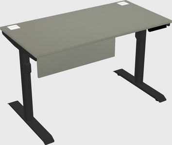Dual motor electric desk