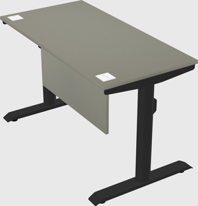 Dual motor electric desk
